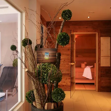 Appartement Residence Saalbach Saalbach-Hinterglemm